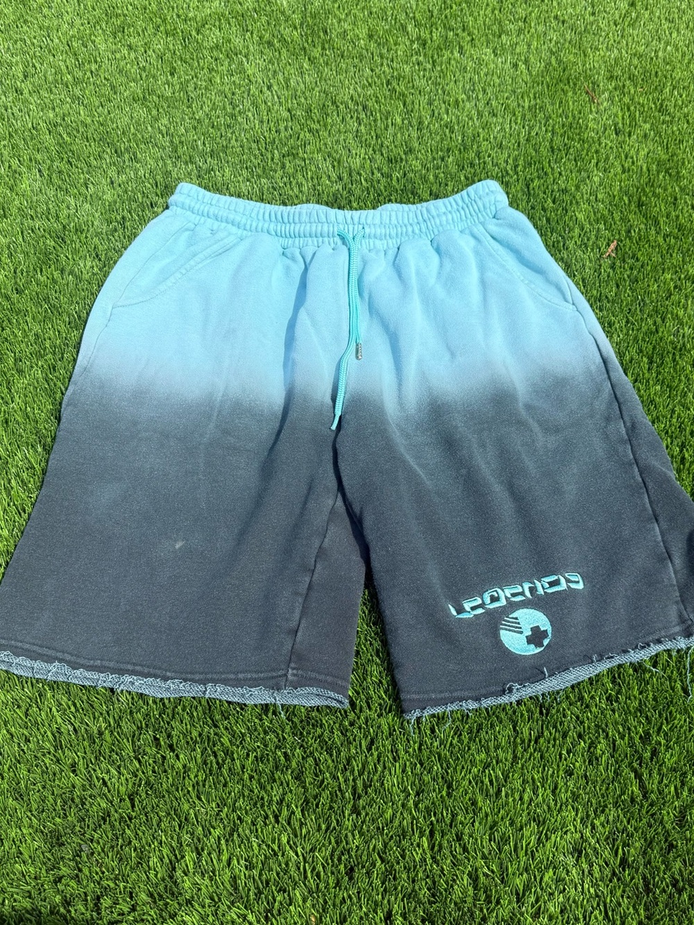 Pink Dolphin Blue to Black Ombre Athletic Shorts
